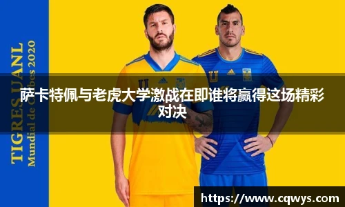 彩神VI首页官网